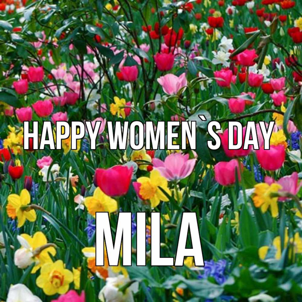 Greetings card с именем, Mila happy women`s day с международным женским днем поздравления для женщины Greetings with text for free download 